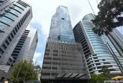 sunglass - 2025-06-11T102640.383